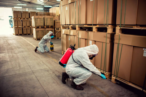 Best Pest Prevention Services  in Macon, IL