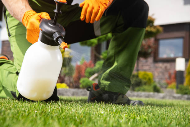 Pest Prevention Services in Macon, IL
