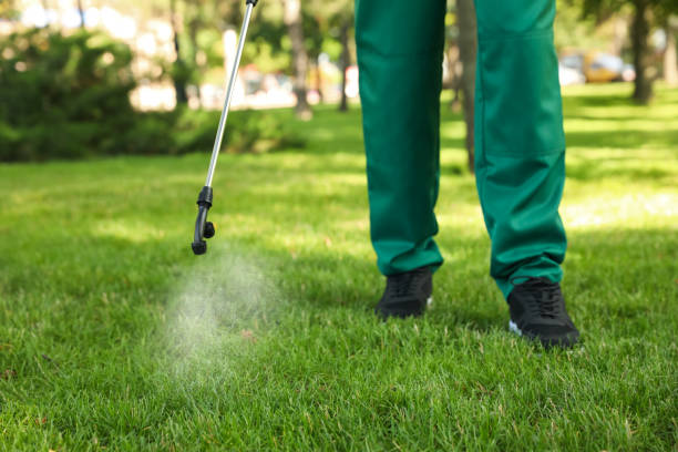 Best Flea Control Services  in Macon, IL