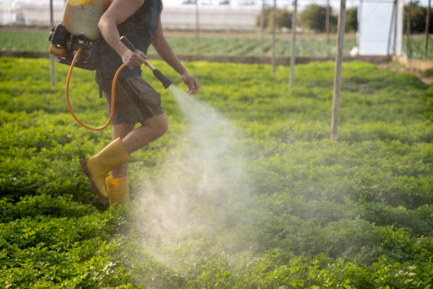 Best Best Pest Control Companies  in Macon, IL