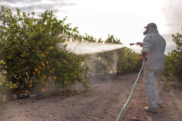Best Pest Control for Businesses  in Macon, IL