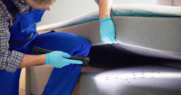 Best Cockroach Control Services  in Macon, IL