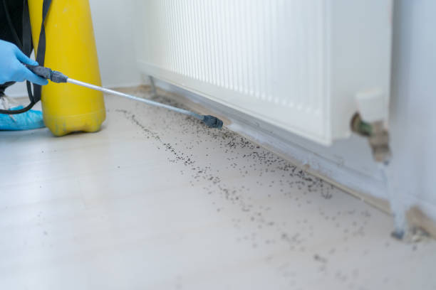 Best Exterminator Services  in Macon, IL