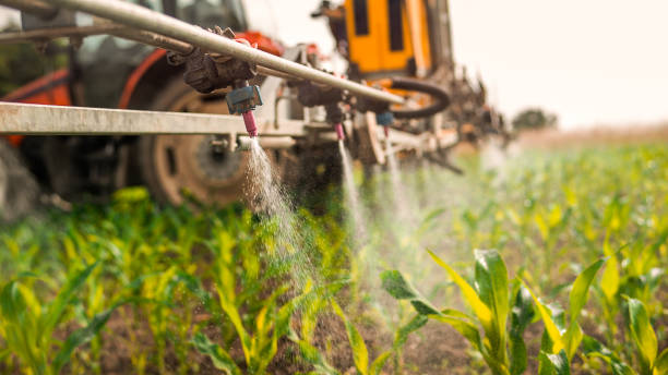 Best Best Pest Control Companies  in Macon, IL